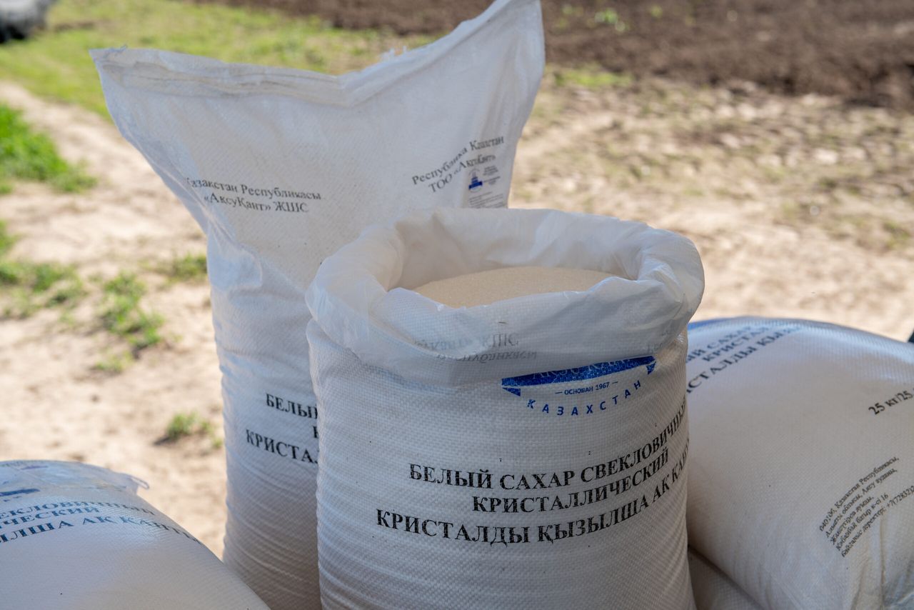 In Almaty region, the processing capacity of two sugar refineries will exceed 1 million tons