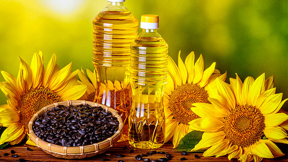 JSC RIR SEC «Zhetisu», in order to stabilize prices for refined sunflower oil, accepts commercial offers from commodity producers, wholesale suppliers of NWPT (distributors) for the supply of sunflower oil