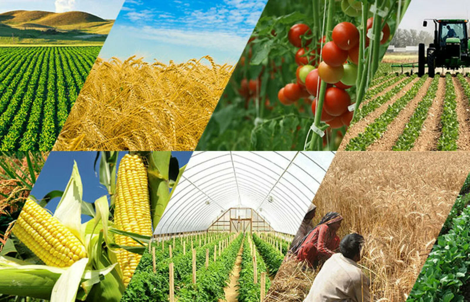 Коммерческие предложения!