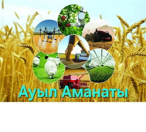 Ауыл Аманаты